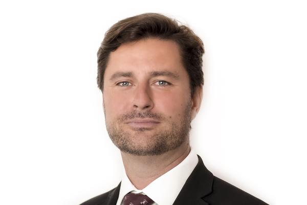 Pavel Vintr, bpv Braun Partners