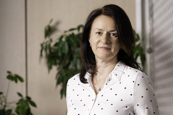 Jana Vlková, Colliers