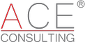 Training company ACE CONSULTING, s.r.o.